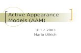 Active Appearance Models (AAM)