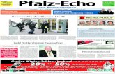 Pfalz-Echo 03/2012