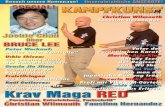 Kampfkunst budo international magazin februar 2014