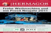 Mitteilungsblatt Dezember 2010