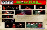 BLOWFISH NEWSLETTER 2010-12