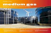 medium gas 2.2011