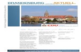 CDU-Infobrief Januar 2014