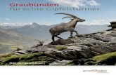 Graubünden Sommer 2014 D (10033de)