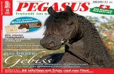 Pegasus-fs Heftvorschau 11/10