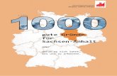 1000 gute Gründe für Sachsen-Anhalt