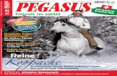 Pegasus-fs Heft 01/2011