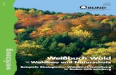 BUND Baden-Württemberg: Weißbuch Wald - Waldbau und Naturschutz