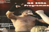 Glastonbudget 2006 Programme