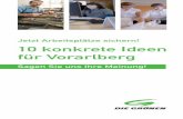 "10 konkrete Ideen für Vorarlberg"