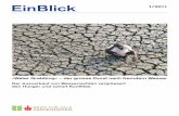 EinBlick 1/2011: "Water Grabbing" - der grosse Durst nach fremdem Wasser
