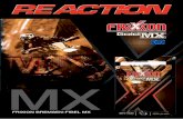 Frixion MX Gold 2013