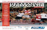 Hexabanner Fanmagazin - Ausgabe Langenau 2012/2013