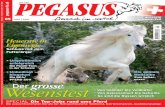 Pegasus Heft 05/2011