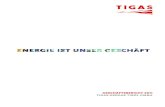 TIGAS Geschäftsbericht 2011