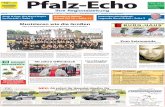 Pfalz-Echo 31-2012