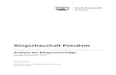 Analyse der Bürgervorschläge Bürgerhaushalt Potsdam 2012