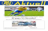 BU Stadionzeitung Nr. 17