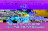 Spanisch f¼r Gruppen Kurse - Spanisch lernen in Malaga