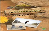 Wüstengänger: Abenteuer im Camp - Anna Regina Frei