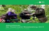 Naturwacht Brandenburg - Jahresbericht 2013