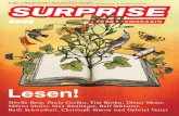 Surprise Strassenmagazin 290/12