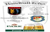 Handballecho 09.03.13