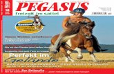Pegasus- freizeit im sattel Nr. 10/2010