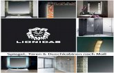 Lionidas Info-Flyer Februar 2013