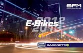 SAXONETTE_E-Bikes 2013