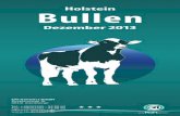 Bullenkatalog Holstein Dezember 2013 von CRI Genetics GmbH
