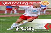 Sportmagazin 2010-12