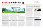 Amtsblatt Pulsschlag Zwickau
