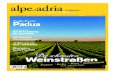 Alpe Adria Magazin - reisen mit Genuss / Nr. 8, Oktober 2009