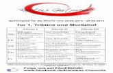 Kantinenplan für Tor 1, Tribüne und Moritzhof 34.KW