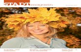 STADTmagazin Ausgabe November 2011