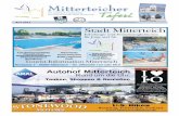 Mitterteicher Taferl - 06/2012