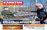 Kärnten Journal Villach, April 2013