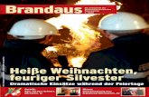 1/2010 Brandaus - die Zeitschrift der nieder¶sterreichischen Feuerwehren