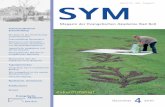 SYM 4-2010