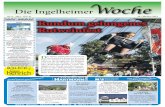 Die Ingelheimer Woche KW41