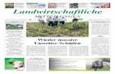 Landwirtschaftliche Mitteilungen Nr.13/2012