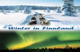Winter in Finnland 2009-2010