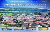 Terminkalender Diemelstadt 2011