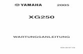 Yamaha XG 250 Tricker Wartungsanleitung WHB