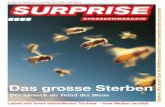 surprise Strassenmagazin 286/12