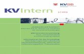 KV-Intern 3/2013