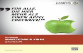 Folder Bachelor Marketing & Sales