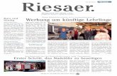 KW 29/2012 - Der "Riesaer."