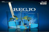 Regjo Ausgabe 4 2010